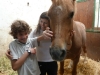 Corso estivo per chi soffre di disagi della comunicazione. Approccio con il cavallo! Corso estivo per chi soffre di disagi della comunicazione. Approccio con il cavallo!